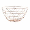 Copper Fruit Basket Photo