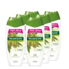 Palmolive Naturals Milk & Olive Shower Gel Bulk Offer - 6 X 500ml Photo