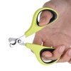 Nail Clippers & Claw Trimmer for Home Grooming Photo