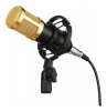 Condenser Microphone With Shock Mount & Anti Wind Foam Cap - Gold Photo
