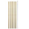 Stainless Steel Drinking Straws Photo