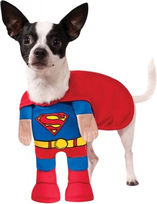 DC Comics Walking Superman Pet Costume