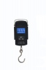 LCD Backlight Display Fishing Scale 10lb/50kg Photo