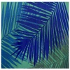 Sepana Palm Leaf 180x270 Photo