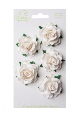 Photo of Bloom Wild Roses - Ivory