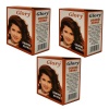 BetterBuys Glory Henna Hair Dye - Orange - 3 Pack Photo