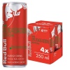 Red Bull Energy Drink Summer Edition: Watermelon 250ml Photo