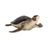 Block Basics - Sea Turtle Photo