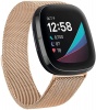 Fabuloulsy Fit Fabulously Fit Fitbit Versa 3/Sense Metallic Strap Photo