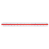 DELI Scale Ruler - 30cm Photo