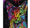 DIY Painting By Numbers Kit – Cat Photo