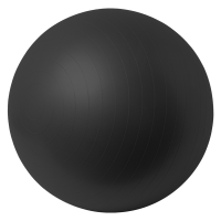 Anti Burst 65cm Gym Yoga Active Exercise Ball