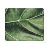 Mouse Pad - Green Leaf Photo
