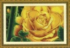 Dome cross stitch kit- Yellow Rose Photo
