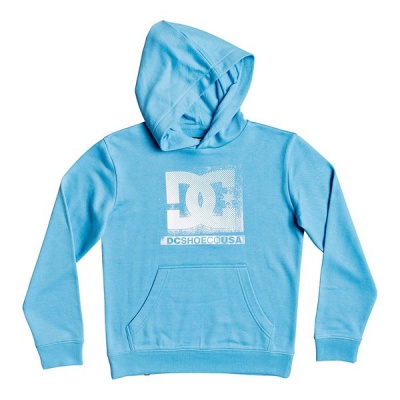 Photo of DC Shoes Kid's Evolved Hoodie