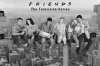Friends - On Girder Poster Photo