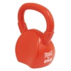 Everlast 6KG Kettlebell Photo