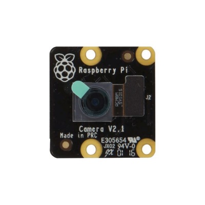 Photo of Raspberry Pi NoIR Camera V2