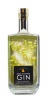 New Chapter Gin No1 - 2020 Michelangelo Double Gold Award Winner Photo