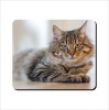 Mouse Pad - Lazy Cat Photo