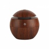 LED Ultrasonic Aroma Humidifier Photo