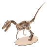 Wow We - 3D Wooden Model Dinosaurs Velociraptor Photo