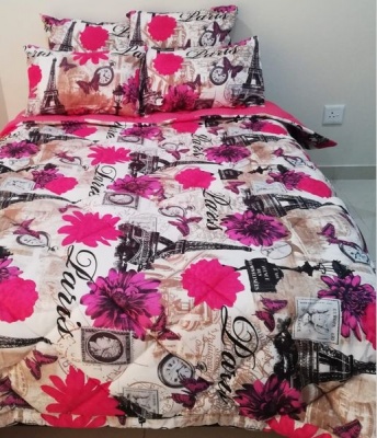 5 Piece Quilted Comforter Pink Paris Set