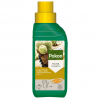 Pokon - Cactus and Succulent Liquid Plant Food Photo