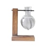 Vase Glass Bottle Clear One Pot Photo