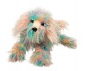 Douglas Jaxton Rainbow Dog Photo