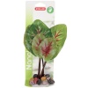 Zolux Silk Plant with Rock Base Red Accent Leaf Photo