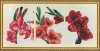 Dome cross stitch kit- Gladiolis Photo