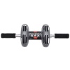 AB Roller Toning Wheel - Fitness Wheel Photo