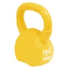 Everlast 3KG Kettlebell Photo