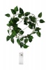 Home Quip HomeQuip Occasional Lights 1 5m / 30 LED Ivy Leaf Wire Light Photo