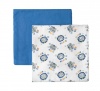 Fashionation Baby Lion 2PK Receiving Blanket Photo