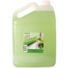 Reggae 5L Pine Tile Cleaner Photo