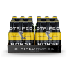 Striped Horse Premium Pilsner 24 x 330ml Photo