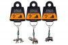 Africas Legends Africa's Legends - SA Flag Keyrings to Carry Your Keys in Style - Pack of 3 Photo