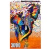 RGS Group Psychedelic 1000 piece jigsaw puzzle Photo