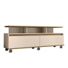 LINX Rack Texas Entertainment TV Stand - White & Brown Photo