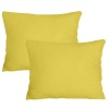 PepperSt - Scatter Cushion Cover Set - 40x30cm - Lemon Photo