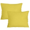 PepperSt - Scatter Cushion Cover Set - 40x30cm - Lemon Photo