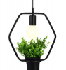 Pendant Light With Planter - Hexagon Photo