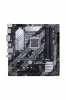 ASUS Z490MPLUS Motherboard Photo