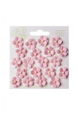 Photo of Bloom Sweetheart Blossoms - Baby Pink