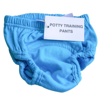 Photo of mother nature products Potty Training Pants Turquoise