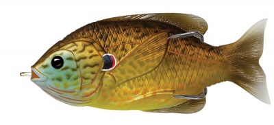 Photo of Live Target Hollow Body Sunfish