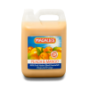Magalies 2 x 5Lt 40% Peach Mango Nectar concentrate Photo