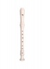 Flute / Recorder - Music Instrument Photo